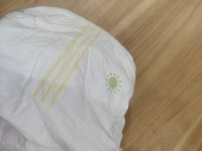 Μεγάλου μεγέθους Αδιάβροχο παντελόνι μιας χρήσης Υψηλό απορροφητικό