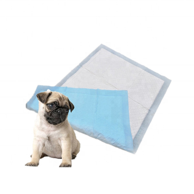 PE Backsheet 60x90cm μίας χρήσης μαξιλάρι της Pet με το έξοχο απορροφητικό πολυμερές σώμα